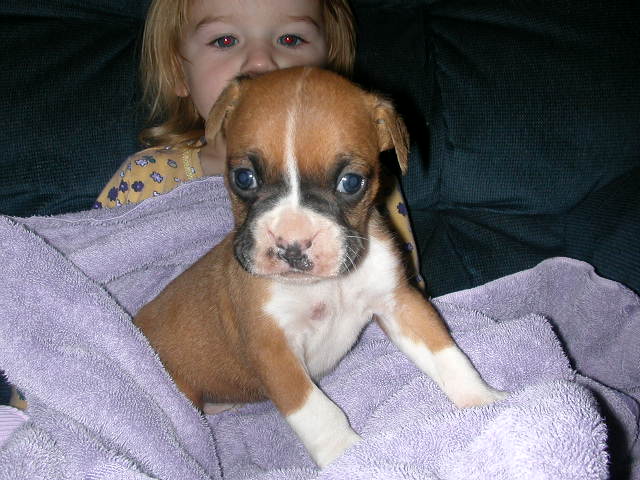 Ali's soon to be brother (Apollo) at 4 1/2 Weeks
