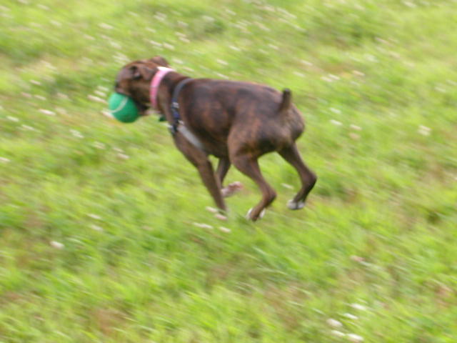 All 4 in air