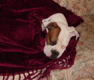 All Comfy