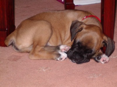 All curled up