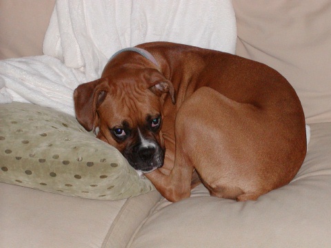 All curled up