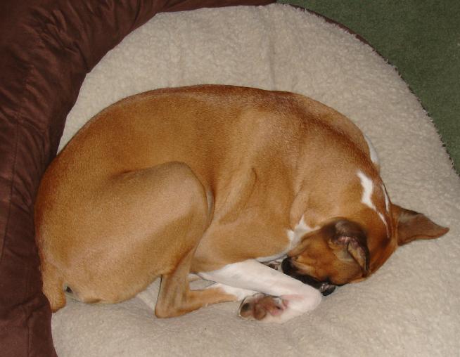All Curled Up