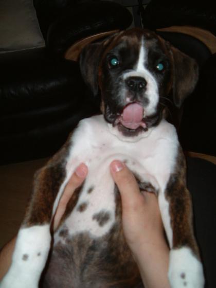 All i want is a kiss!!!!