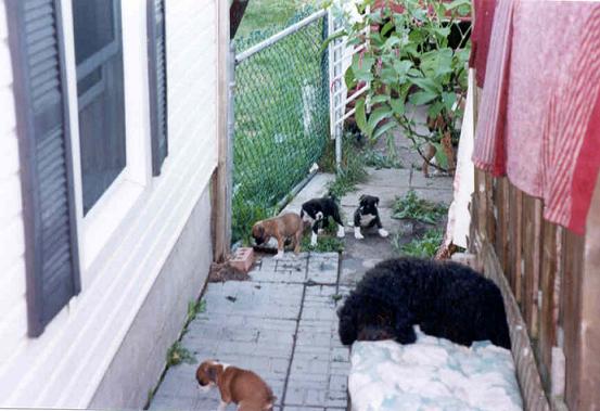 All kinds of trouble!