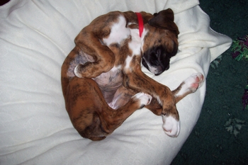 All legs and fast asleep