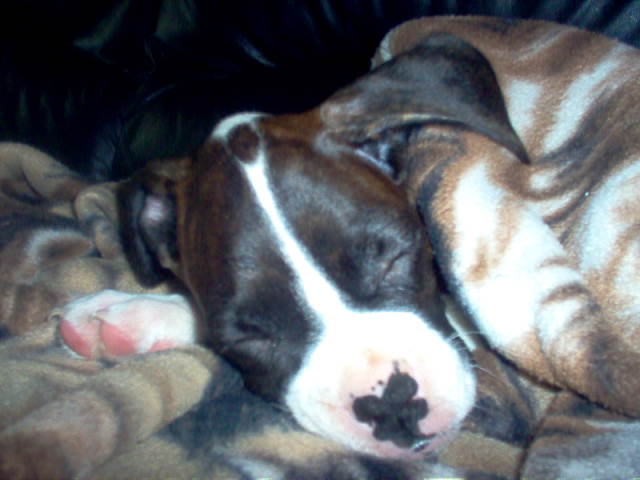 All snug after a bath
