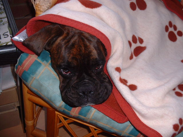 All snug