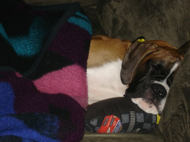 All snuggled in...
