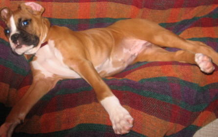 All stretched out