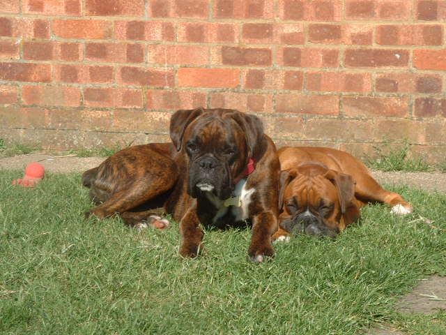 All that garden and they have to snuggle up together