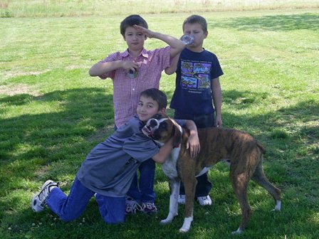 All the puppys together