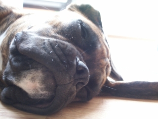 All this Playing has made me tired!