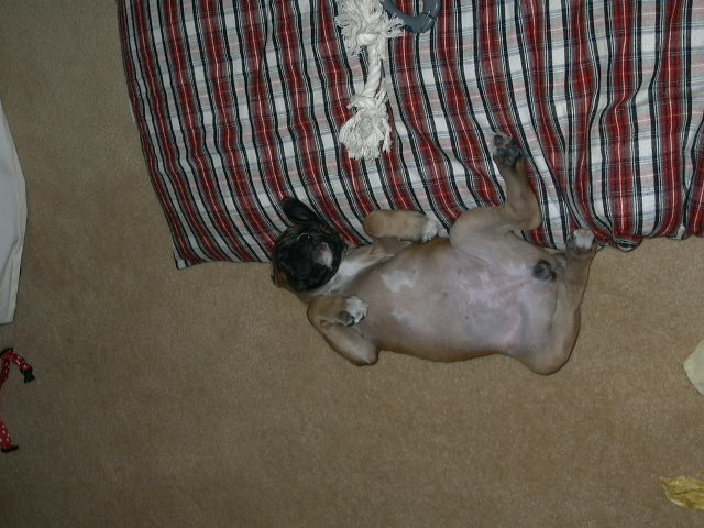 All Tired Out
