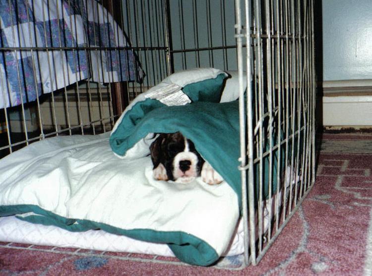 All tired out!