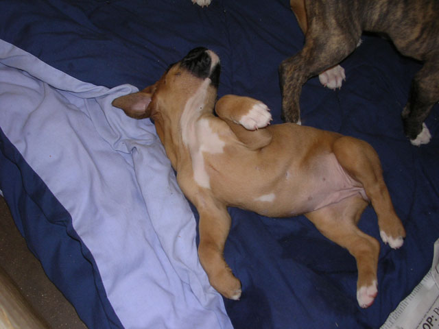 All tired out