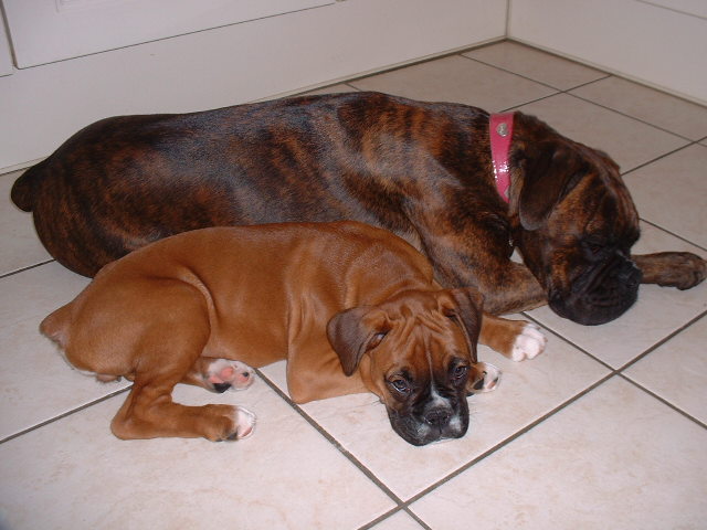 All tired out