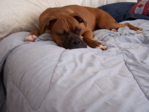 all tired out