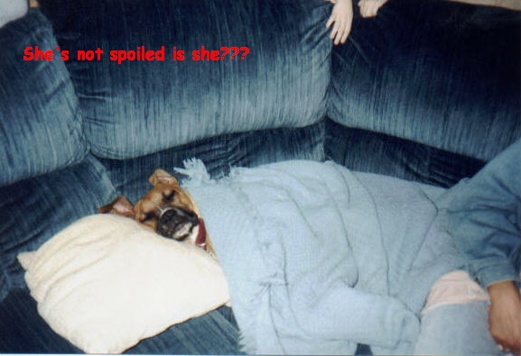 All tucked in for a nap!