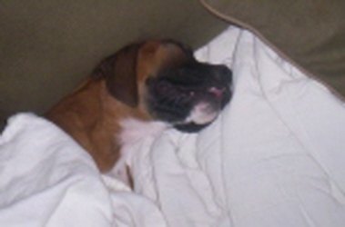 All Tucked In