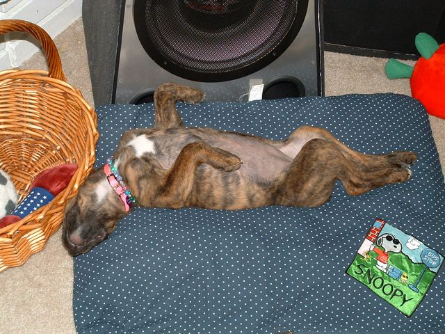 all tuckerd out