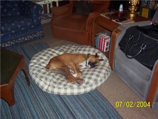 all tuckered out