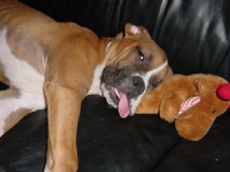 ALL WORN OUT.....