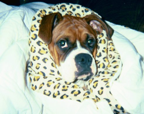 All wrapped Up!