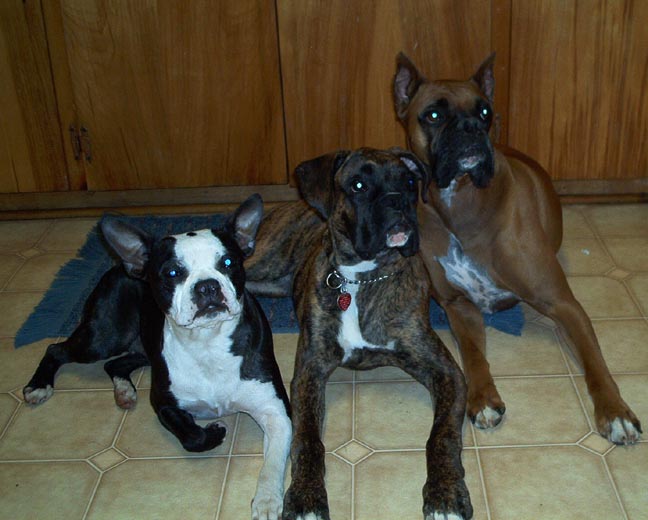 All_3_posing