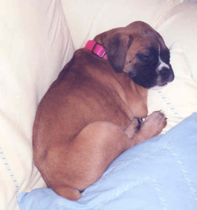 all_curled_up