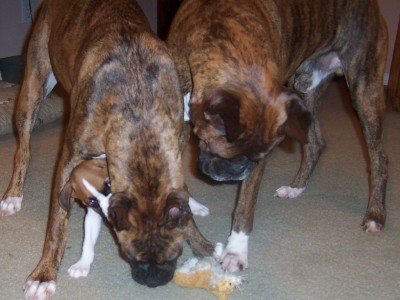 Allie, Annie and Biff