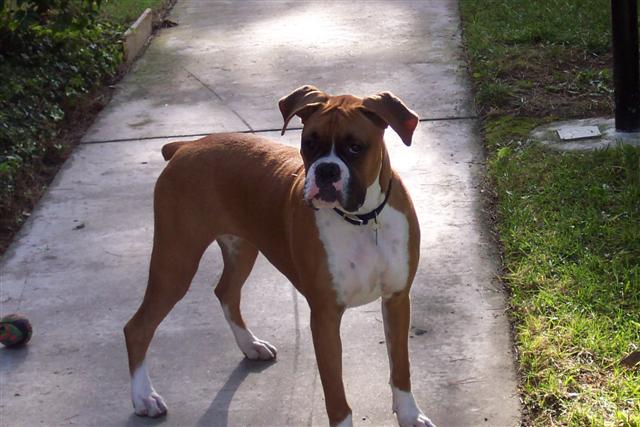 Almost 7 Month's Old