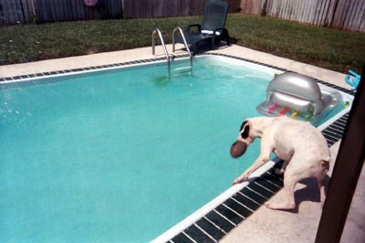 Almost dropped it in the pool!