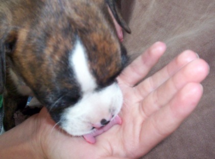Already giving kisses!!!