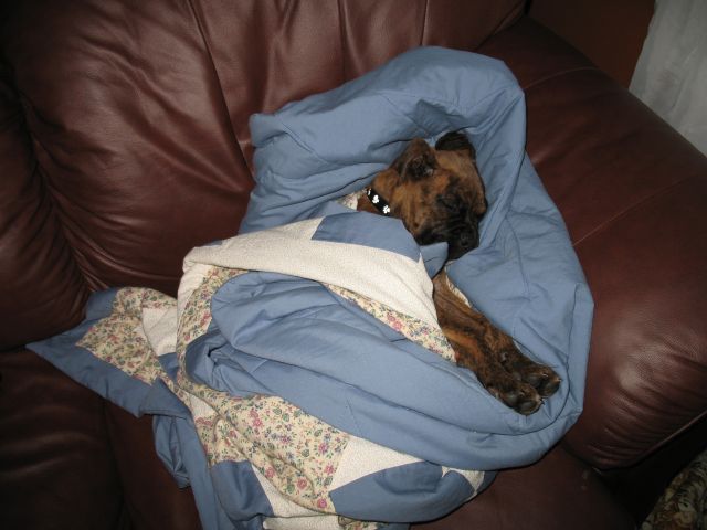 Alseep in the blanket