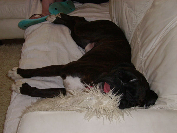 Also taking over the chair