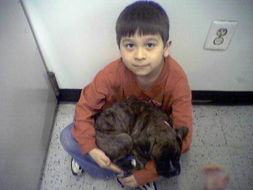 always be a lap dog