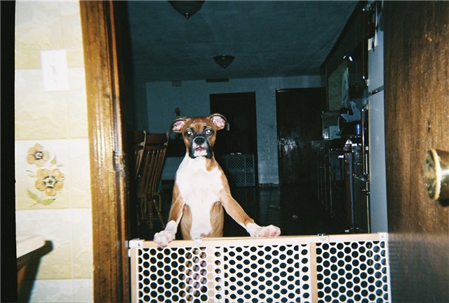 Always Misbehaving