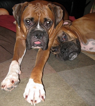 Always someone to lean on