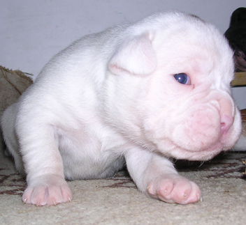 Am I cute or what ???
