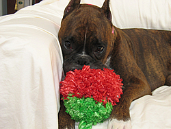 Am I just too cute :)