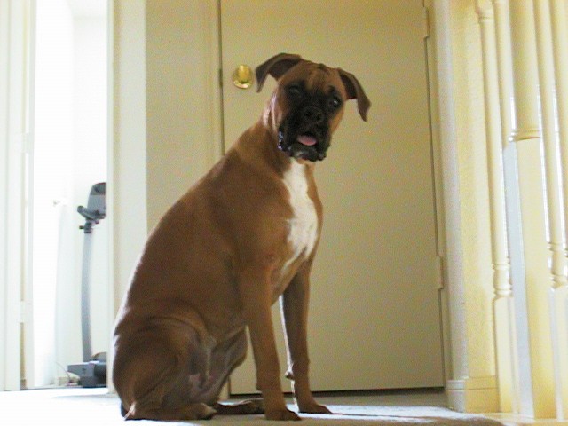 Am I pretty?