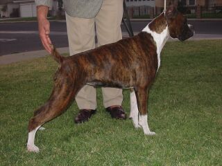 American Sweetheart " Annie"