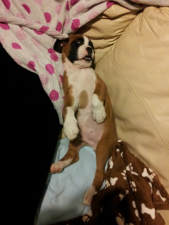 An earlier picture of Kaiser