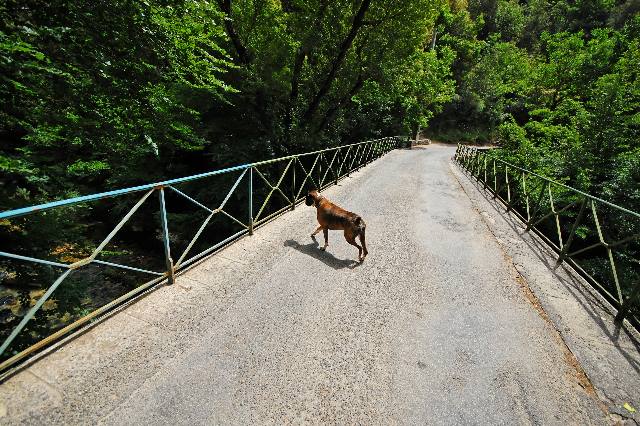 An empty bridge