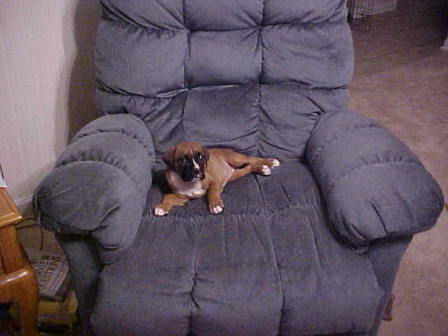 And I thought my bed was big.