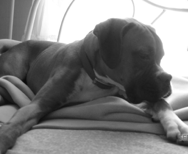 And now, deep thoughts.