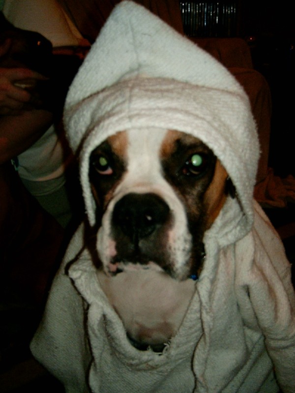 and the new pope is...