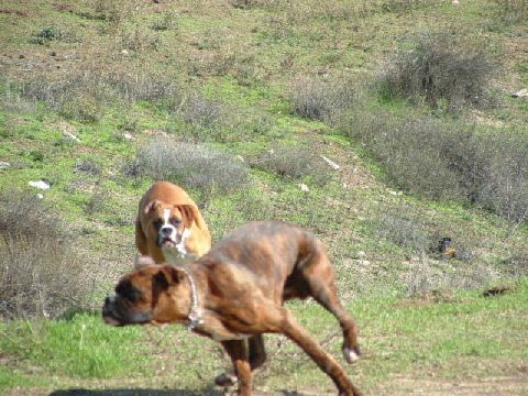 And the race begins
