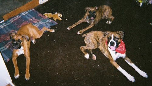 And then there were 3!