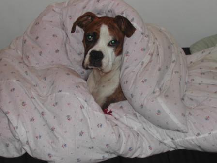 And you thougt this was YOUR BED?